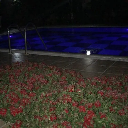 فيلة Natalia كمر